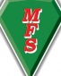 The Millennium Financial Solutions, Inc. Logo