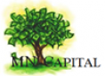 MN Capital, Inc Logo